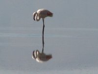 20061230_076.JPG
