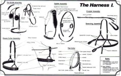 strippedharness0088.jpg