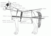 harness+parts.gif