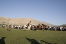_MG_8250.JPG