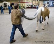 mane1.jpg