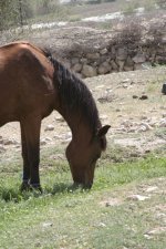 _MG_6497.JPG