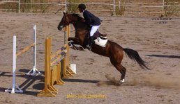 IMG_7746.JPG