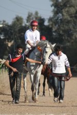 ‫شایان محرابی.jpg