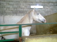 10032011099.jpg