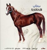 S.AHAB-copy.jpg