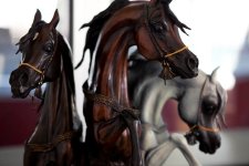 al shaqab3.jpg
