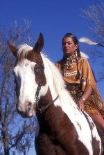 History,%20circumstance%20and%20a%20touch%20of%20magic%20brought%20the%20horse%20back%20to%20Nor.jpg