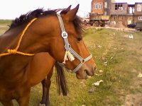 sanam (10).jpg