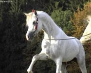 foto4.jpg