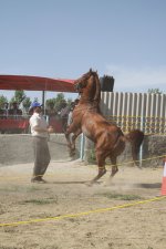 IMG_222721.jpg