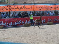 IMG_5167.jpg