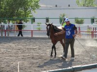 IMG_5045.jpg