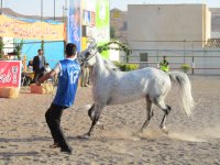 IMG_5066.jpg