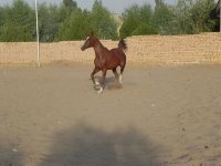 خاطره.jpg