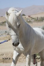 IMG_7851.jpg