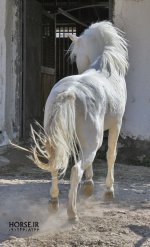 IMG_7612.jpg