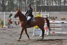fei jumping iran (1).jpg