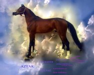 AZTAK,,,,.jpg