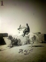 20111207530.jpg