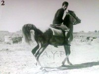20111207531.jpg