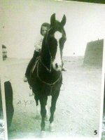 20111207538.jpg