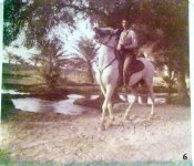 20111207540.jpg