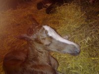 20121205799.jpg