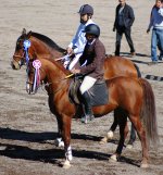 DSC_3129.JPG