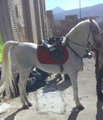 طوفان.gif
