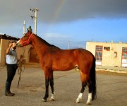 DSC_7097.JPG