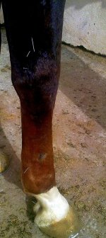 13022012804.jpg
