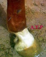 13022012804 - Copy.jpg