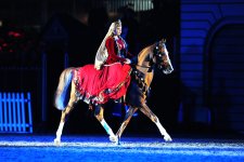 garabag horse -london.jpg