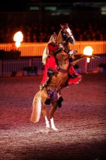 azerbaijan horse festival.jpg
