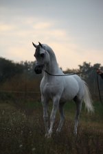 IMG_1982.jpg