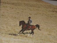 سمیرم اصفهان.jpg