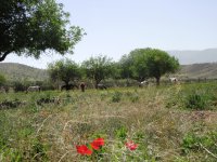 IMG_3873.jpg