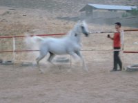 ..yaber4.jpg