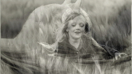 image012.gif