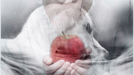 image014.gif