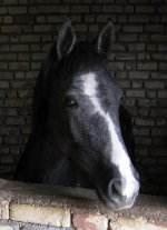 IMG_5144.jpg