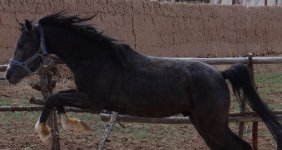 DSC01936ttt.jpg