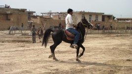 IMG_1756.jpg