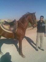 تصوير005.jpg