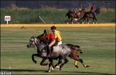 iranpolo1.jpg