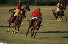 iranpolo2.jpg