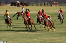iranpolo5.jpg