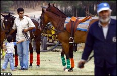 iranpolo11.jpg