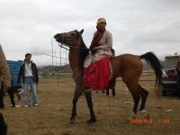 CIMG0368.JPG
